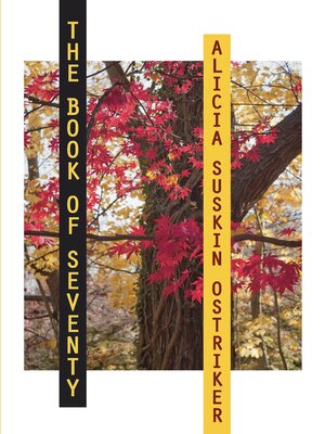 cover image of The Book of Seventy